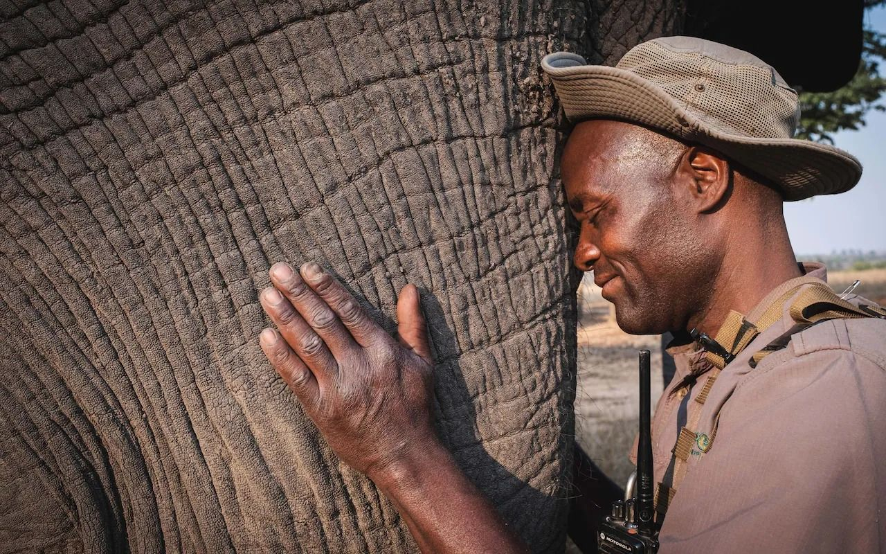 Слон и смотритель в заповеднике стали лучшими друзьями: щемящие фото из Африки - Pets