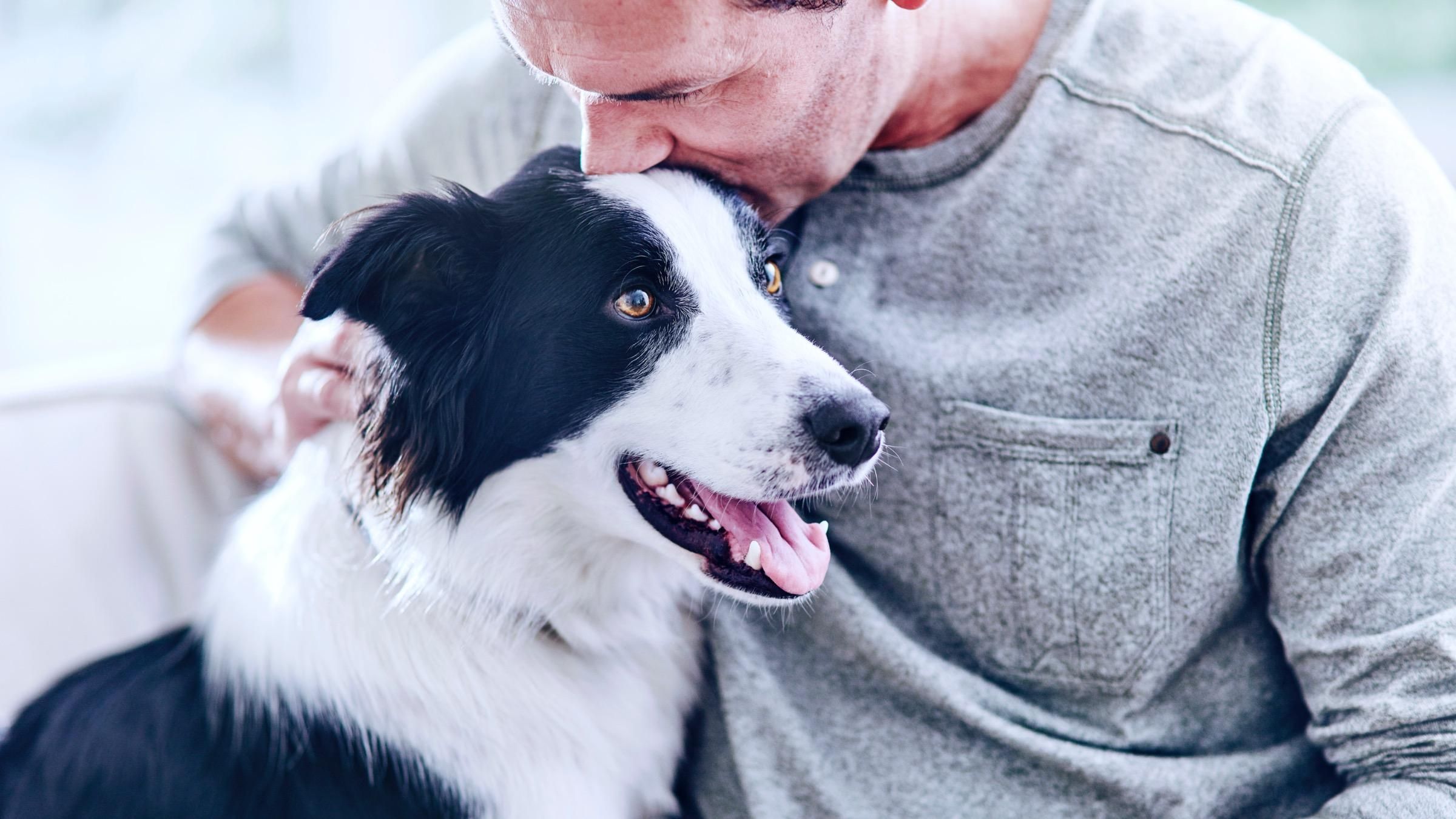 Підтримують та опікуються долею покинутих тварин: важливі зобовʼязання компанії Purina® - Pets Підтримують та опікуються долею покинутих тварин: важливі зобовʼязання компанії Purina® - Pets