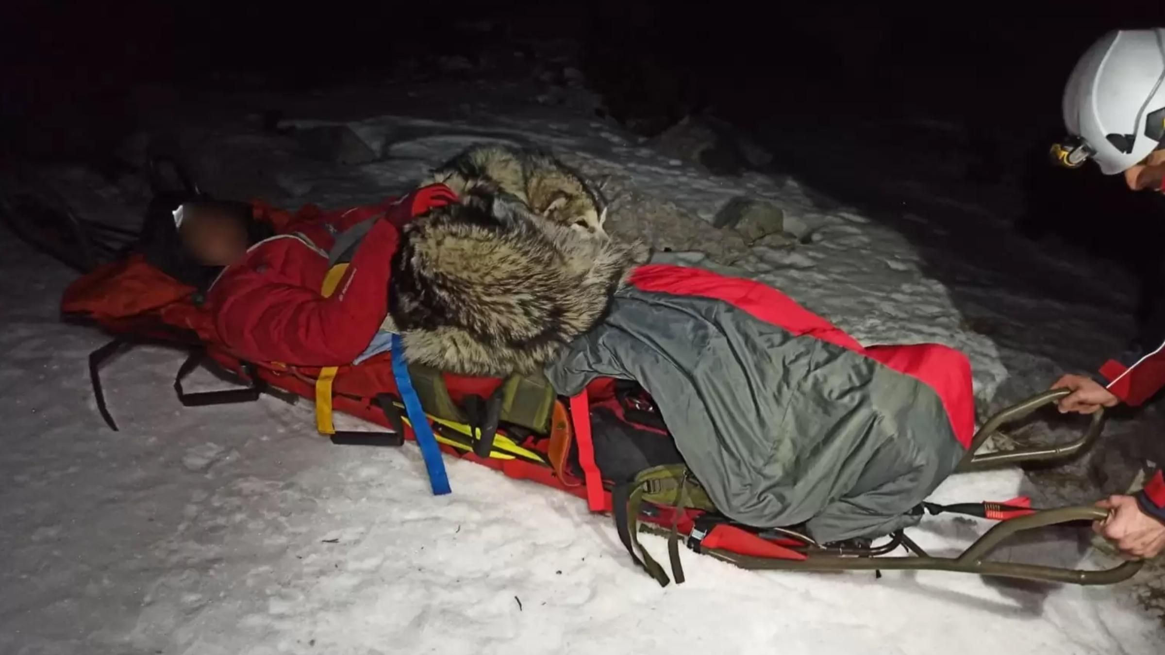 Понад 13 годин чекав на допомогу: як пес не дав альпіністу замерзнути в горах - Pets