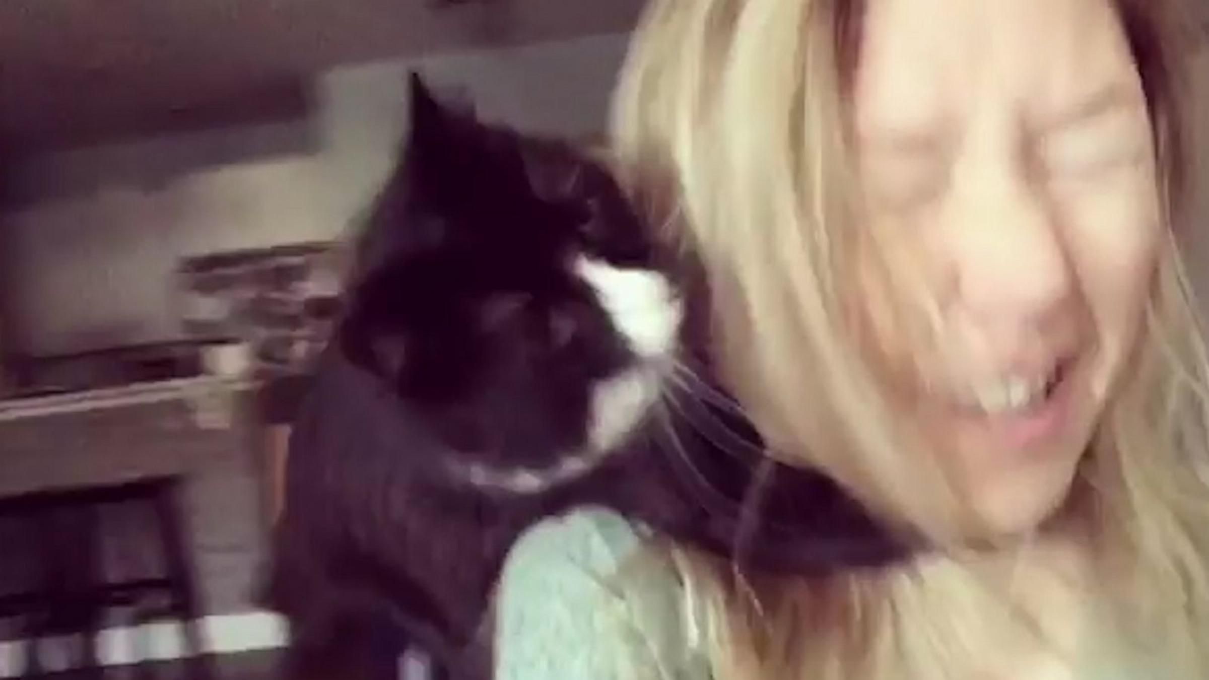 Кішка не любить, коли господиня співає: як кумедно намагається зупинити жінку - Pets