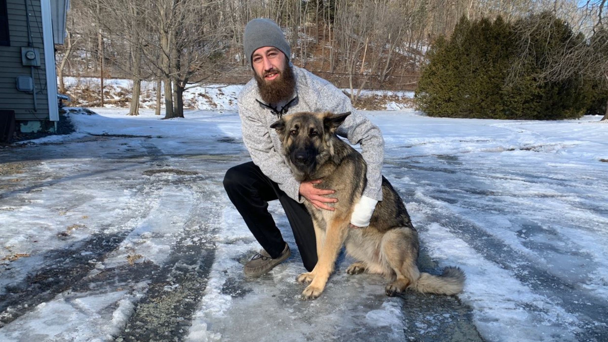 Собака спасла хозяина, попавшего в аварию: какой поступок помог мужчине - Pets Собака спасла хозяина, попавшего в аварию: какой поступок помог мужчине - Pets