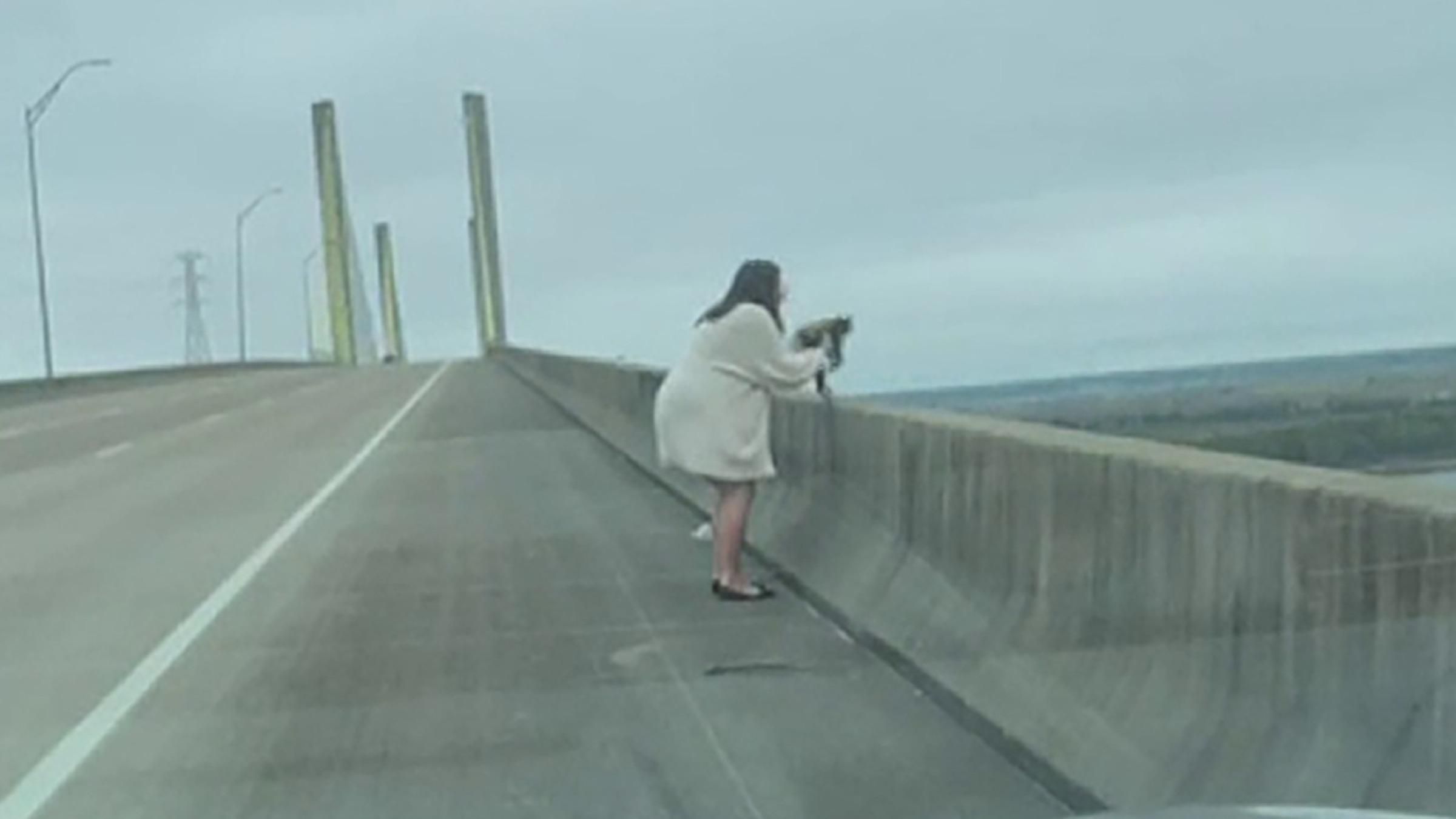 Сидел на краю моста и мог упасть: как женщина спасла кота от опасности - Pets
