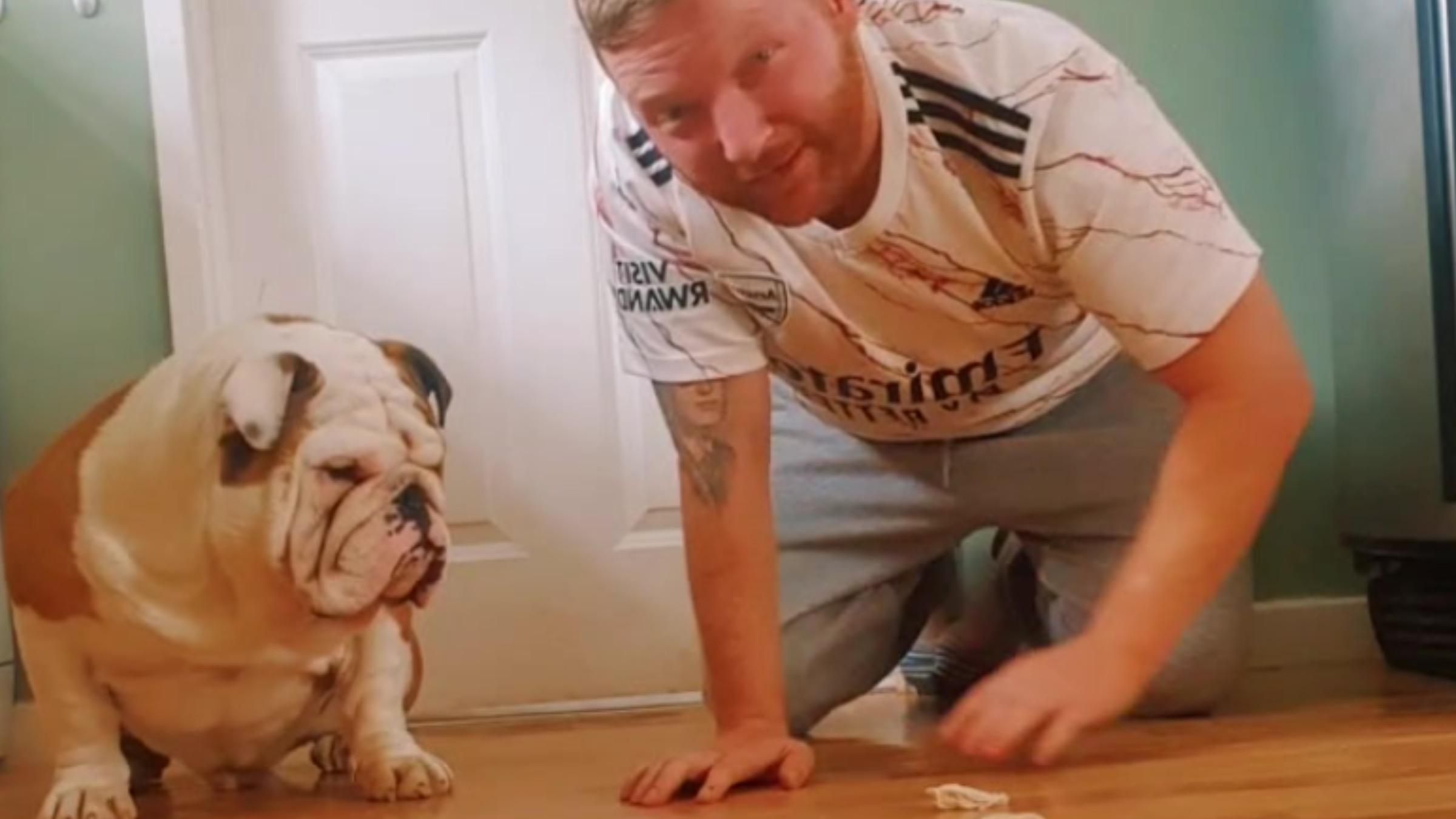 Мужчина соревновался с собакой за вкусности: видео борьбы за главный приз - Pets