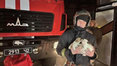 Подавали сигнали SOS під ліжком: на Закарпатті рятувальники винесли з вогню цуценят