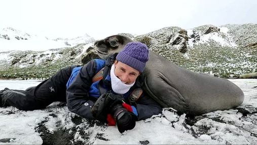 Женщина попала в объятия тюленей: забавное видео, покорившее сеть