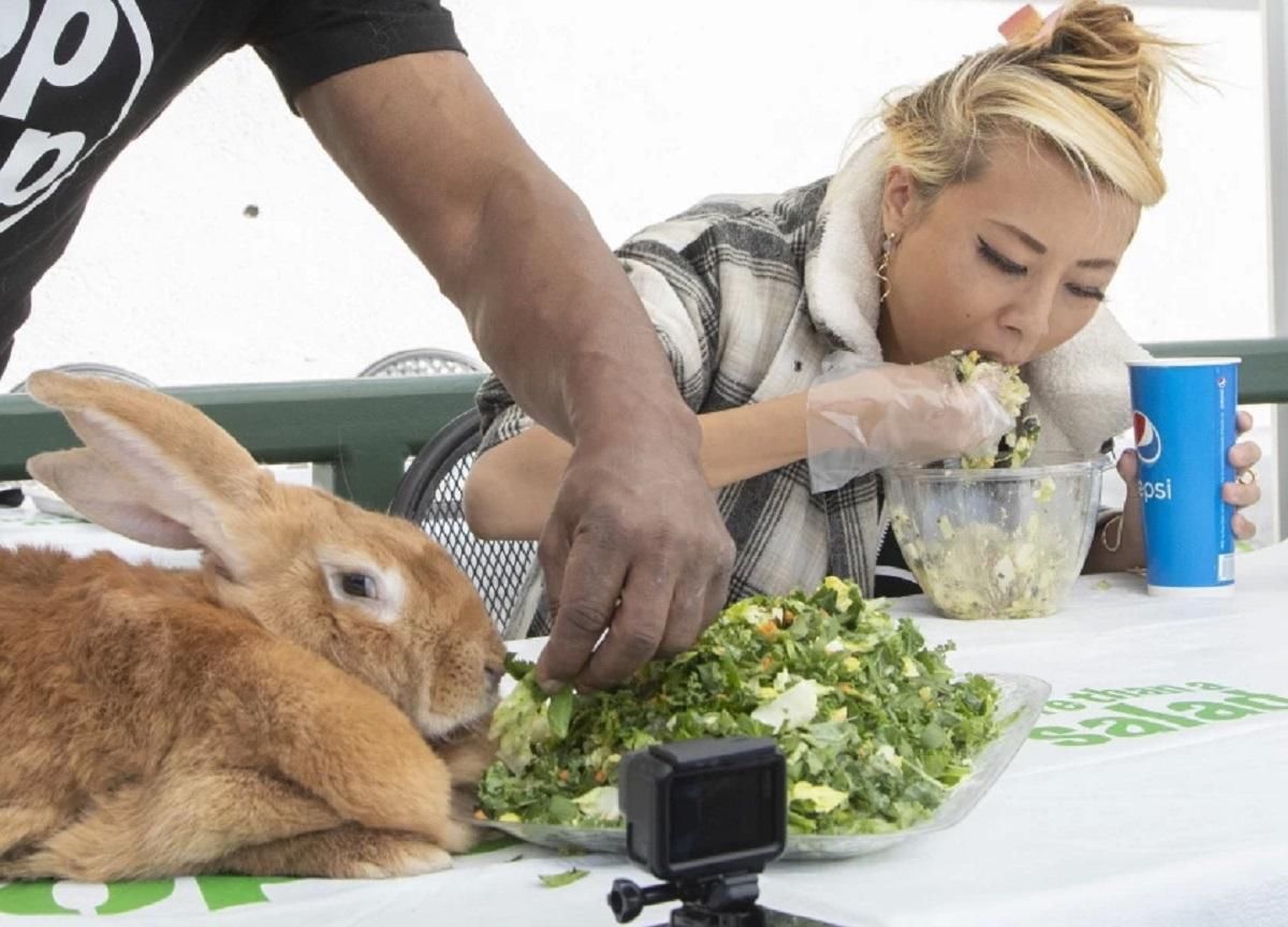 Кролики проти людей: хто вийшов переможцем у конкурсі з поїдання салатів – кумедне відео