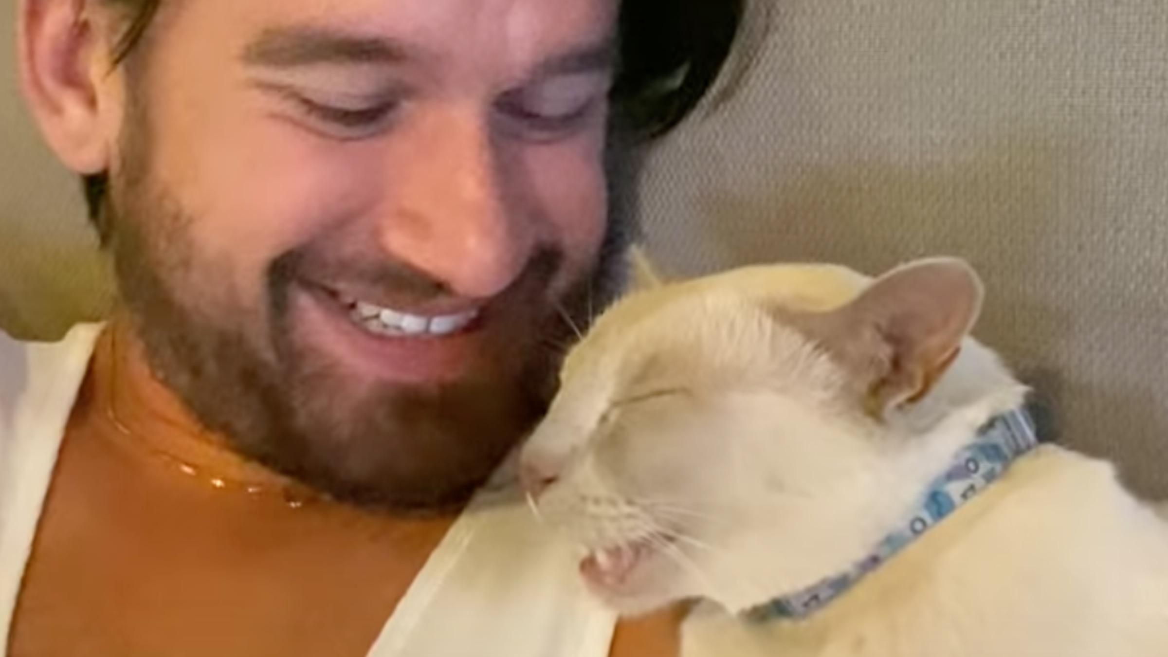 Котик "розмовляє" уві сні: відео, яке розвеселило користувачів соцмереж - Pets