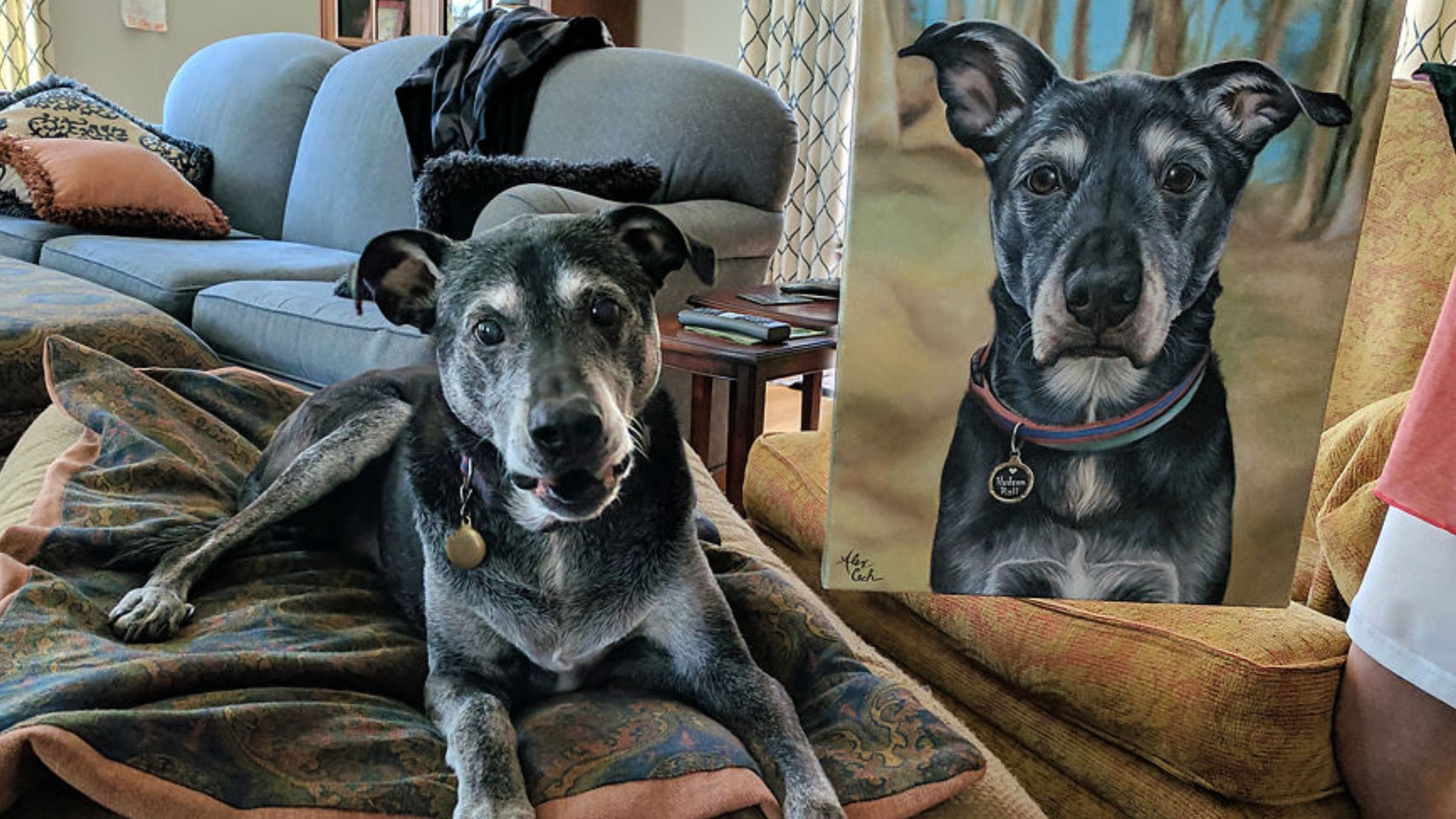 Впечатляющее сходство: фото картин домашних животных, которые захватывают точностью - Pets Впечатляющее сходство: фото картин домашних животных, которые захватывают точностью - Pets