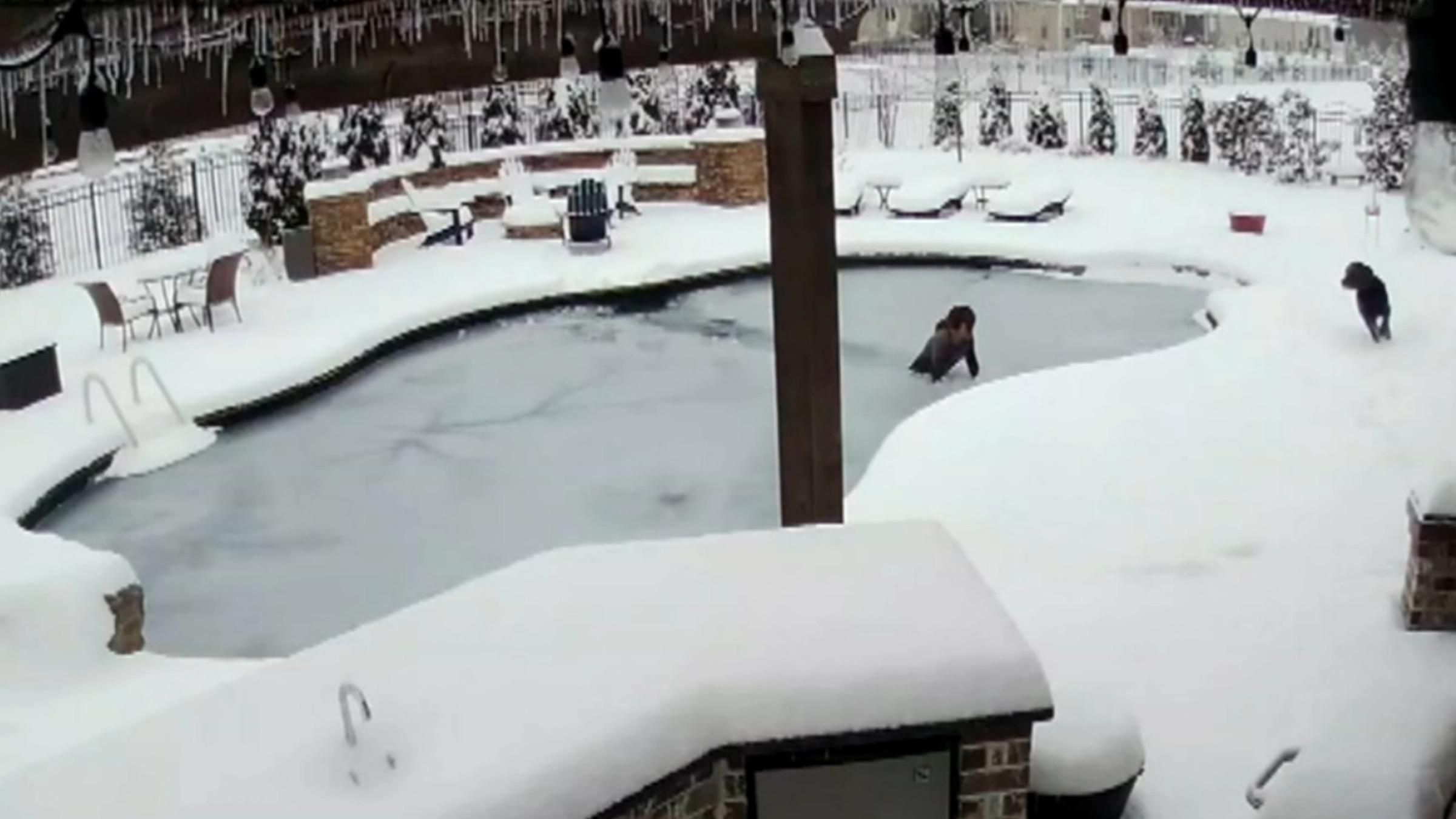 Стрибнув у замерзлий басейн: відео порятунку собаки з-під льоду - Pets