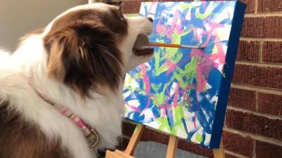 Собака заробив 20 тисяч доларів на власних картинах: як виглядають шедеври