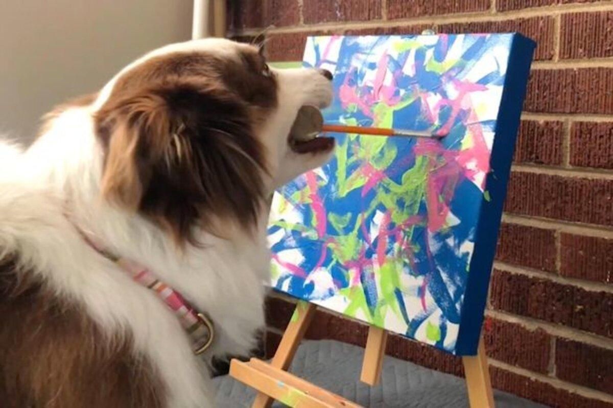 Собака заработала 20 тысяч долларов на собственных картинах: как выглядят шедевры - Pets