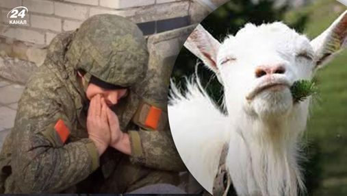 Партизанять навіть тварини: на Запоріжжі коза завдала поранень декільком російським окупантам