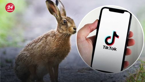 Підліток виклав у TikTok жорстоке відео з зайцем: за шкуродера та автора ролика взялася поліція
