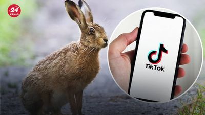 Подросток выложил в TikTok жестокое видео с зайцем: за шкуродера и автора видео взялась полиция