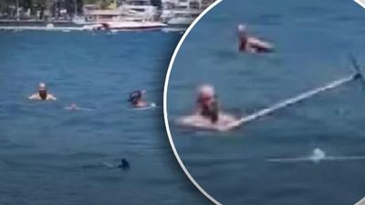 В Турции в заливе Мармариса увидели "акулу": отдыхающие отбивались от нее шваброй