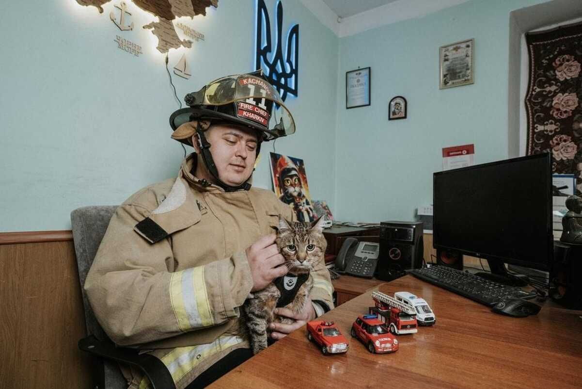Кіт Степан побував в гостях у харківських рятувальників