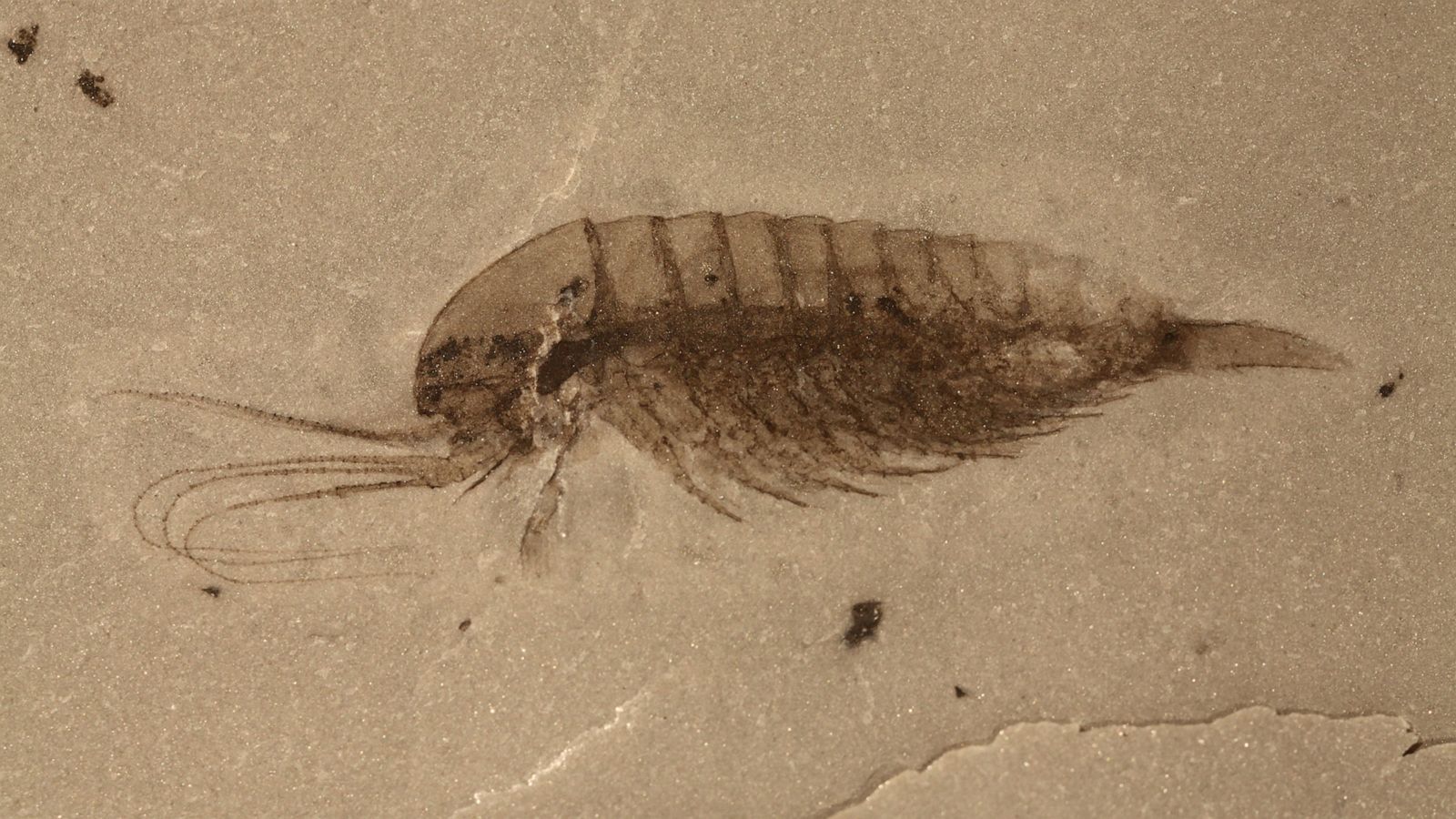 Ілюстративне фото Ілюстративне фото