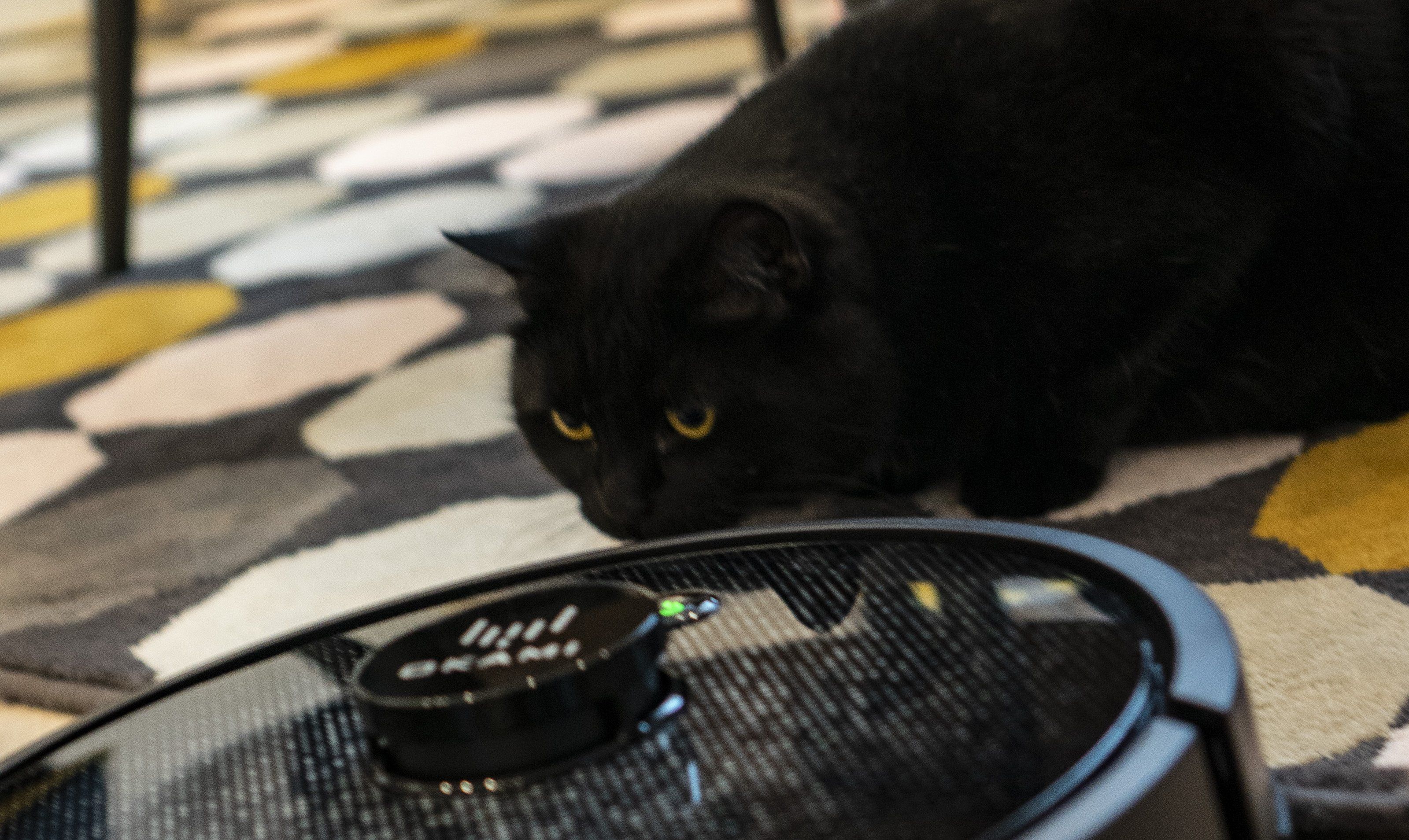 Ілюстративне фото Ілюстративне фото