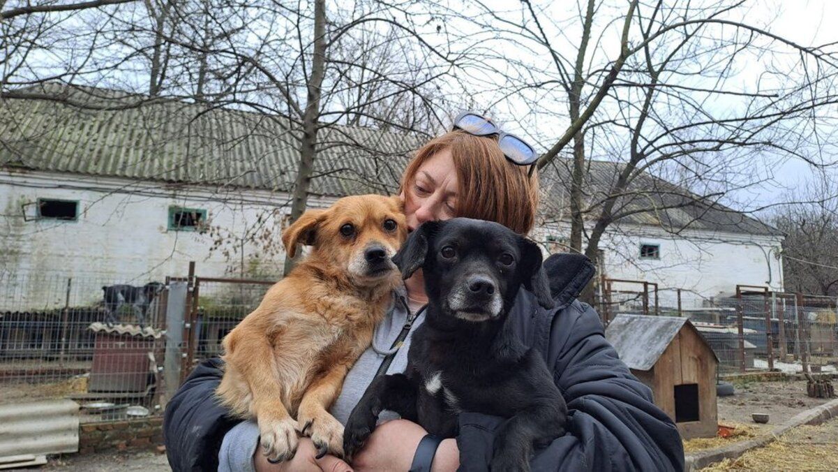 Собаки з Катеринівки Собаки з Катеринівки