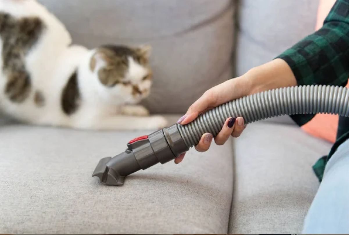 Почему коты боятся пылесоса Почему коты боятся пылесоса