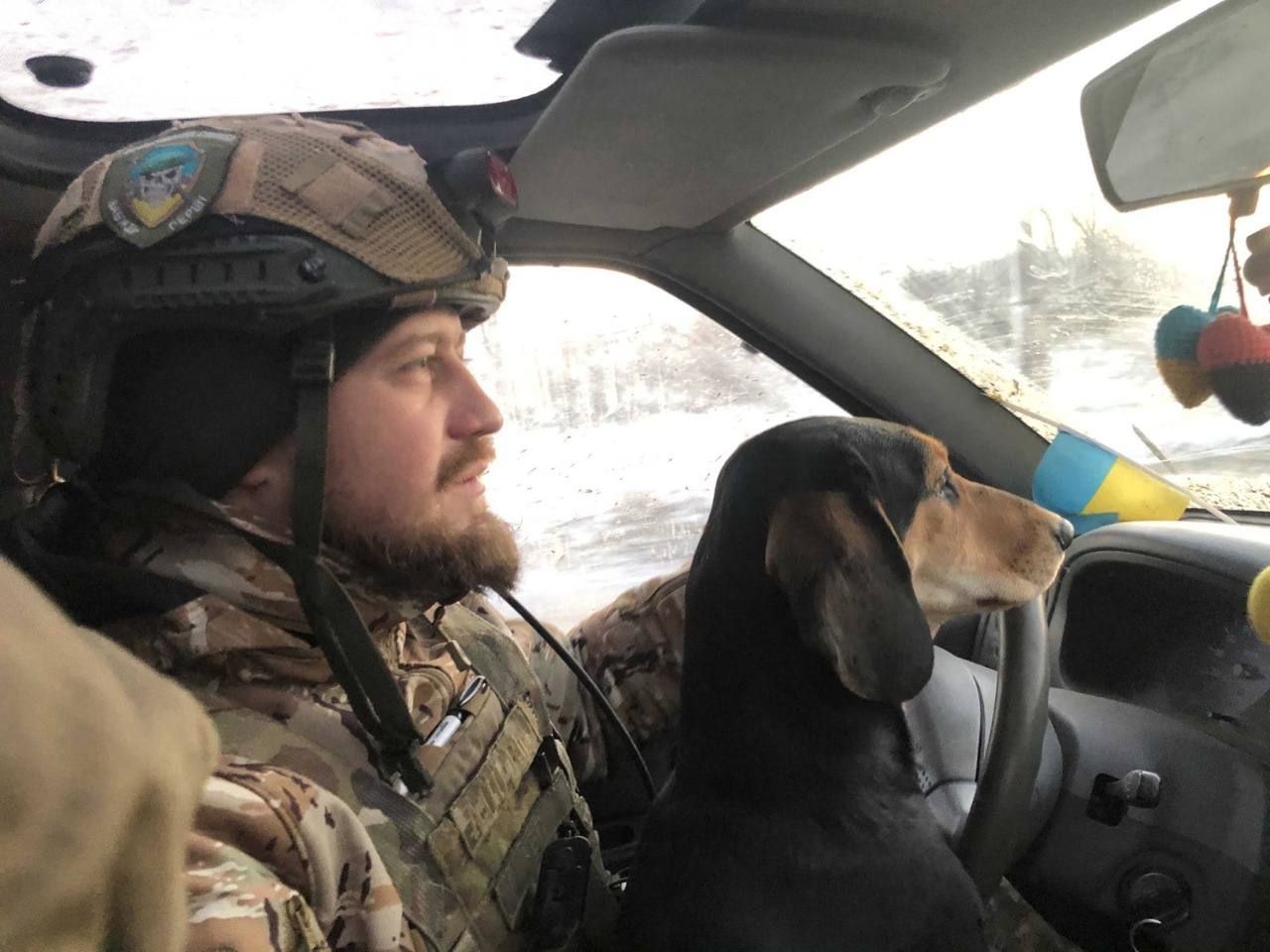 Пограничники приютили собаку Банана из Донецкой области