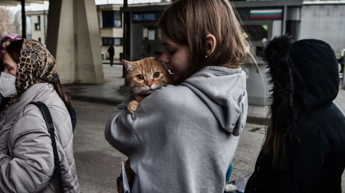 Як вивезти тварину за кордон Як вивезти тварину за кордон