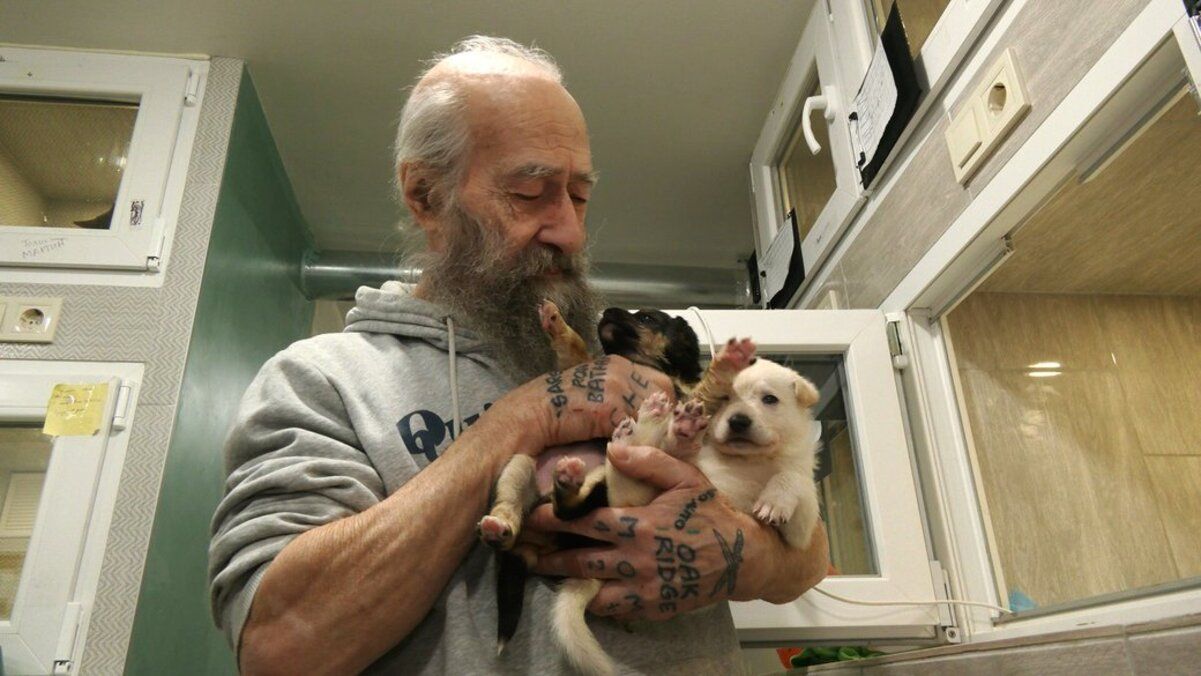 Колишній військовий з Канади доглядає врятованих тварин у Харкові Колишній військовий з Канади доглядає врятованих тварин у Харкові