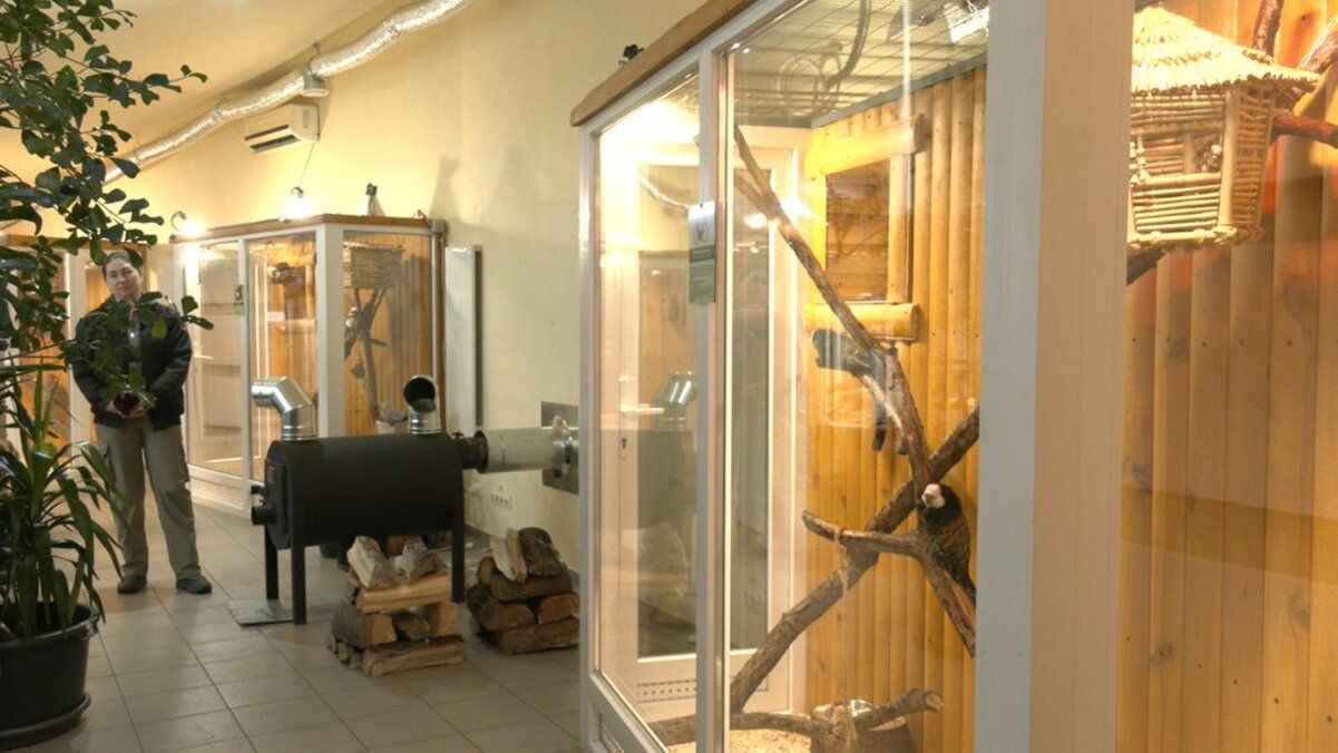 В Черкасском зоопарке для обогрева животных установили буржуйки В Черкасском зоопарке для обогрева животных установили буржуйки