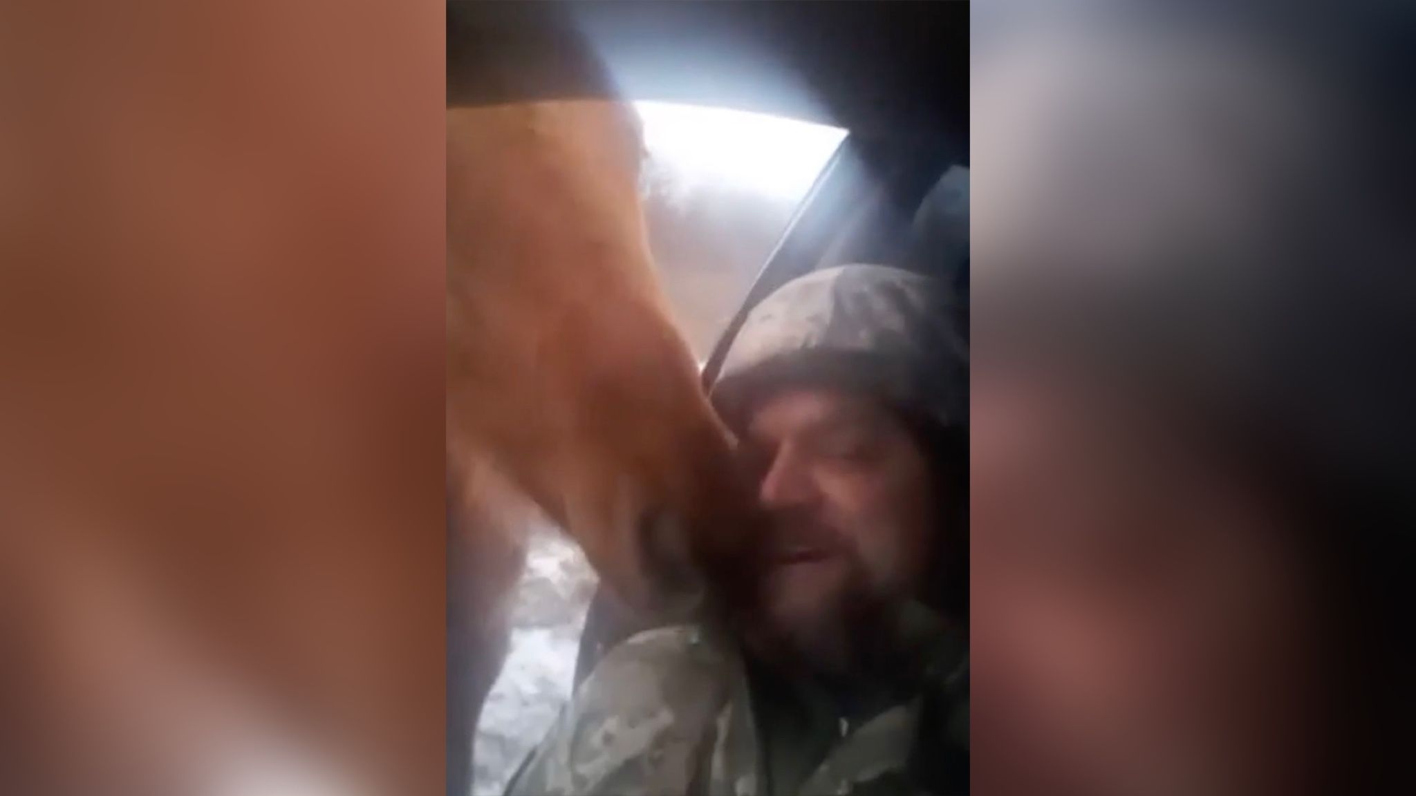 В Бахмуте лошадка Звезда расцеловала пограничников В Бахмуте лошадка Звезда расцеловала пограничников