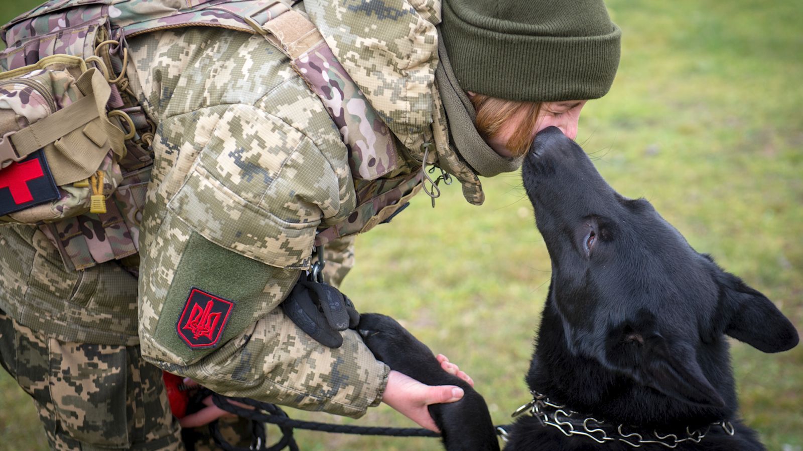 Как пограничница нашла потерянную четырёхлапую напарницу Как пограничница нашла потерянную четырёхлапую напарницу