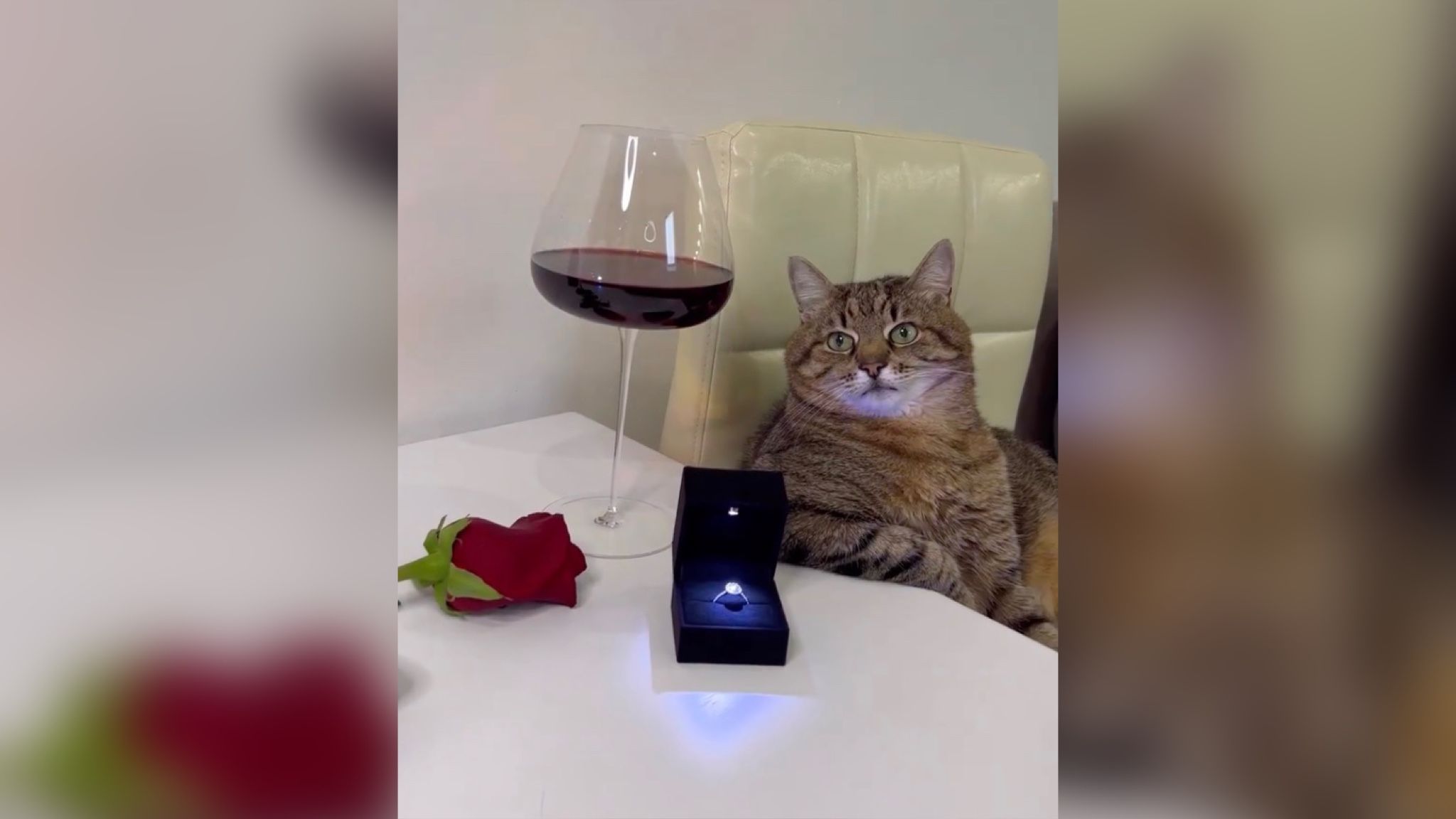 Ілюстративне фото Ілюстративне фото