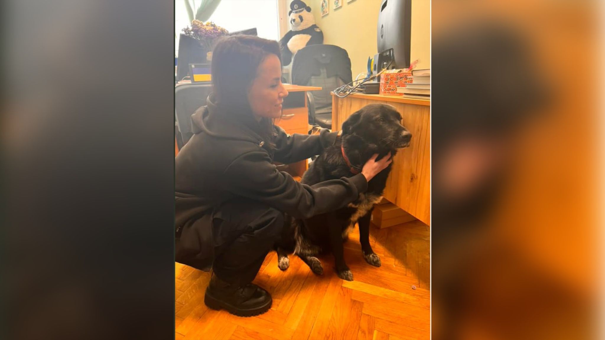 Патрульные вернули четырёхлапого беглеца домой Патрульные вернули четырёхлапого беглеца домой