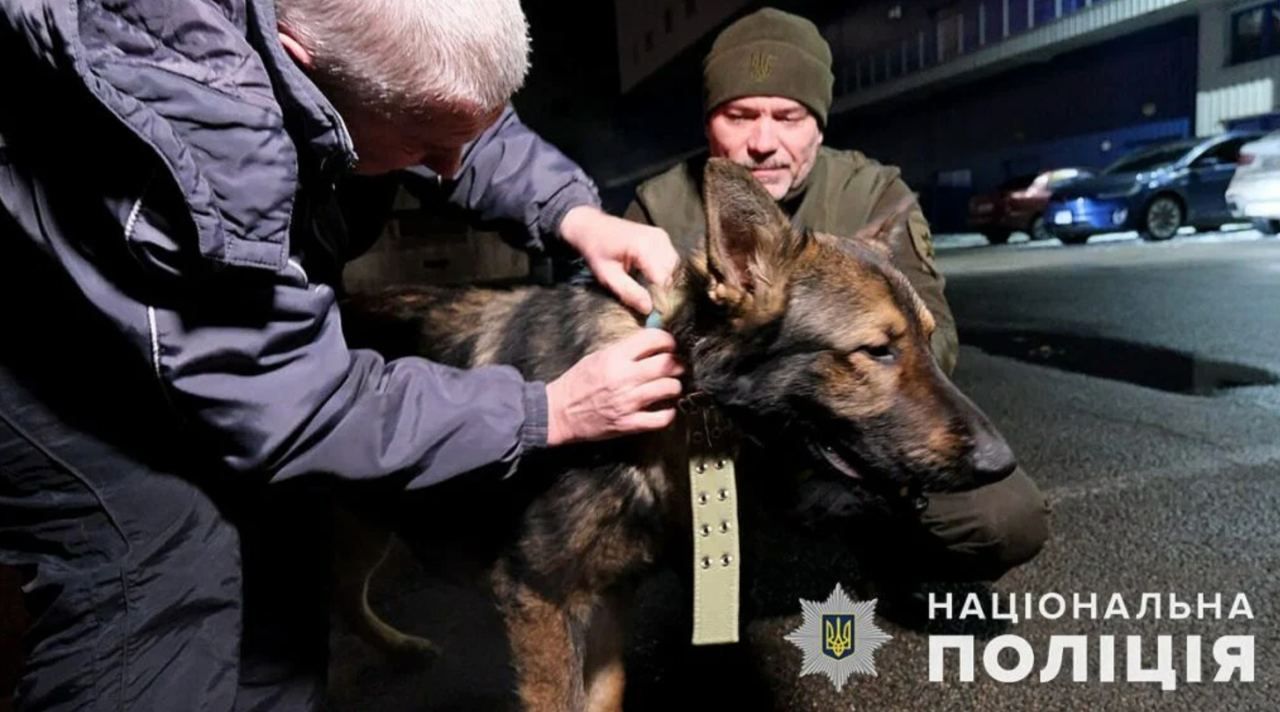 Полицейский из Мариуполя наконец-то встретился со своей собакой