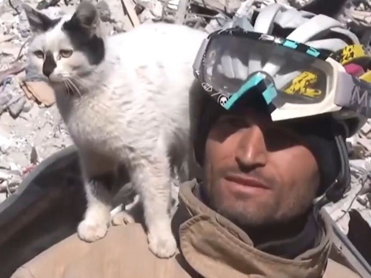 Спасатель достал из-под завалов кота, считающего мужчину своим хозяином Спасатель достал из-под завалов кота, считающего мужчину своим хозяином