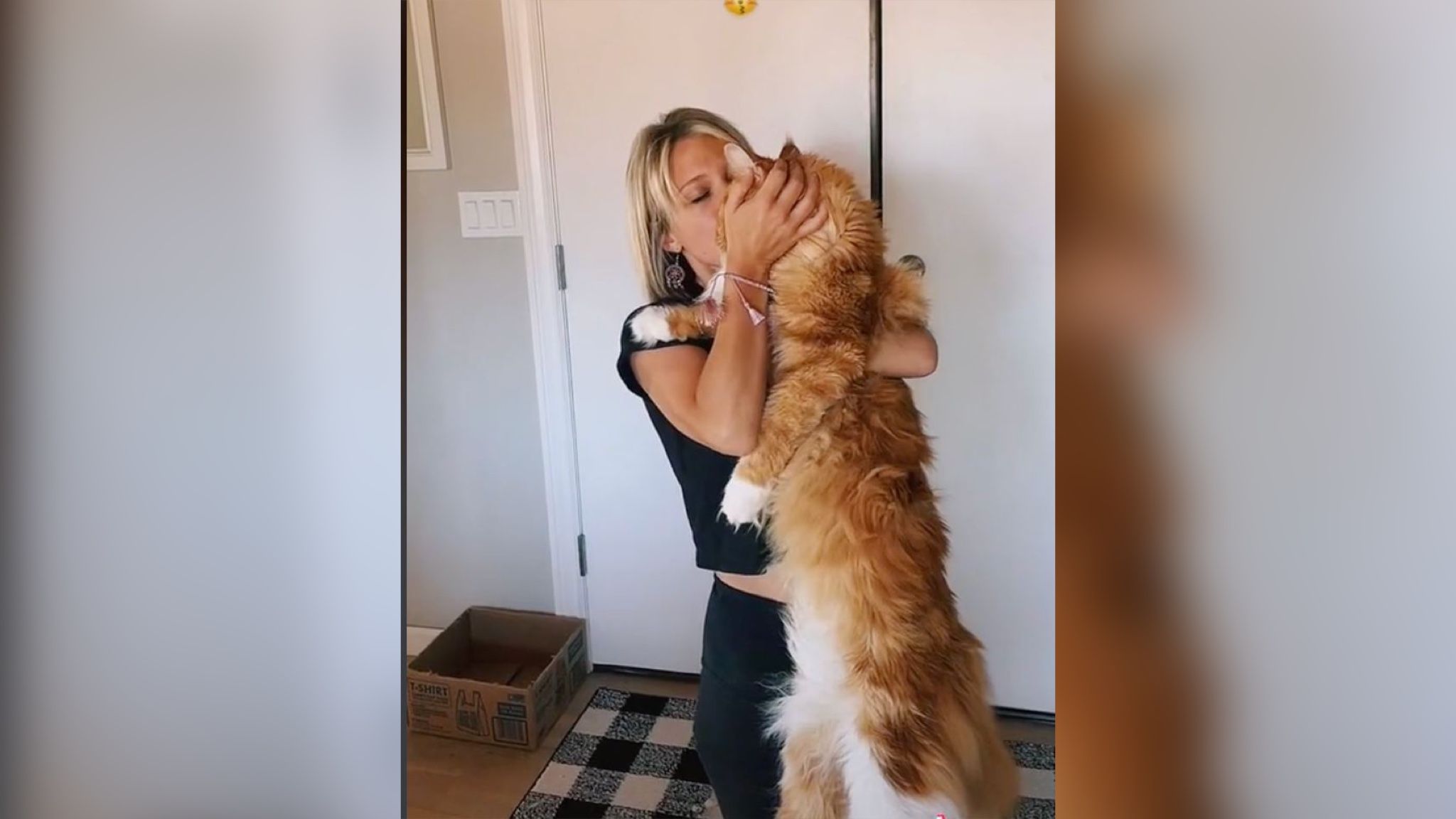 Гигантского кота на улице принимают за собаку Гигантского кота на улице принимают за собаку