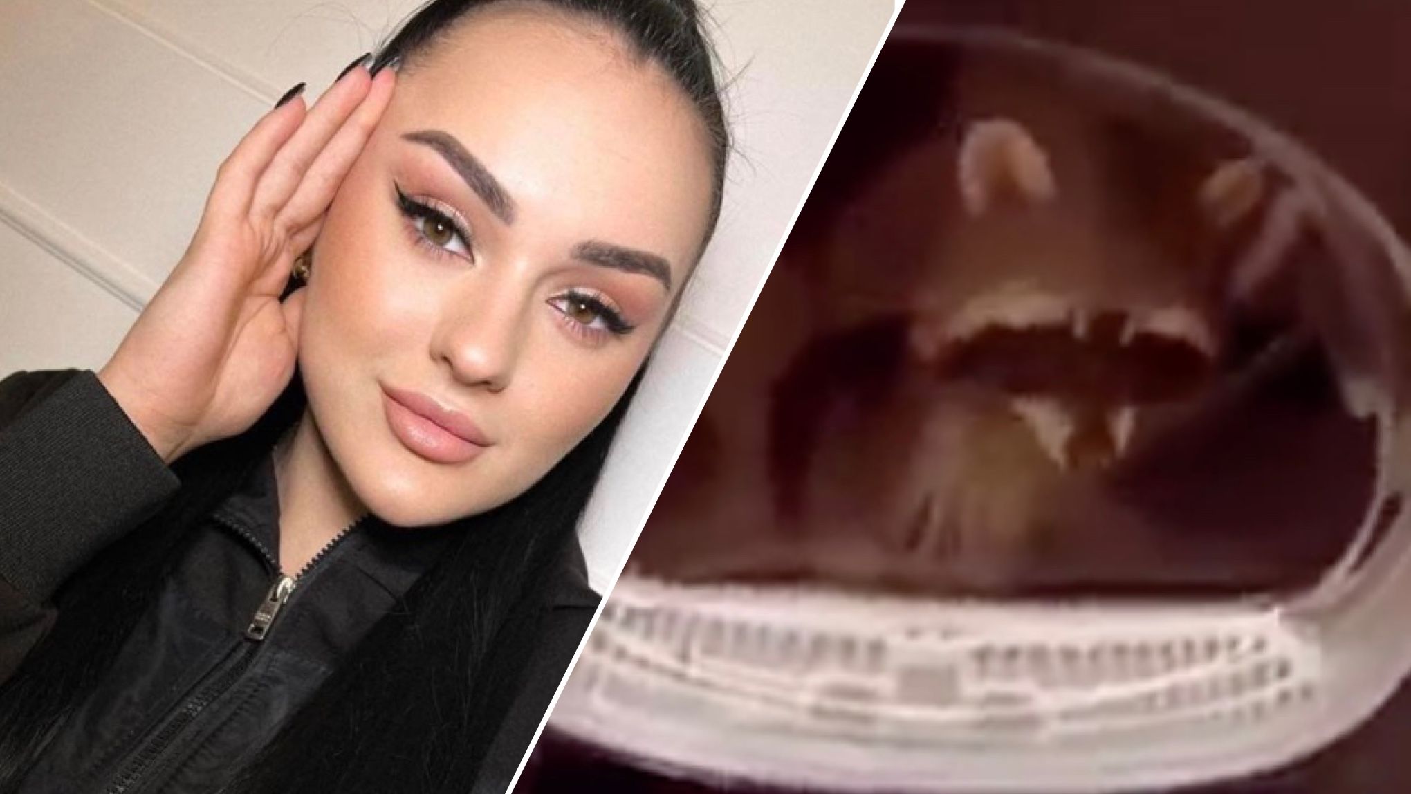 На Франківщині дівчина знущалася з єнота На Франківщині дівчина знущалася з єнота