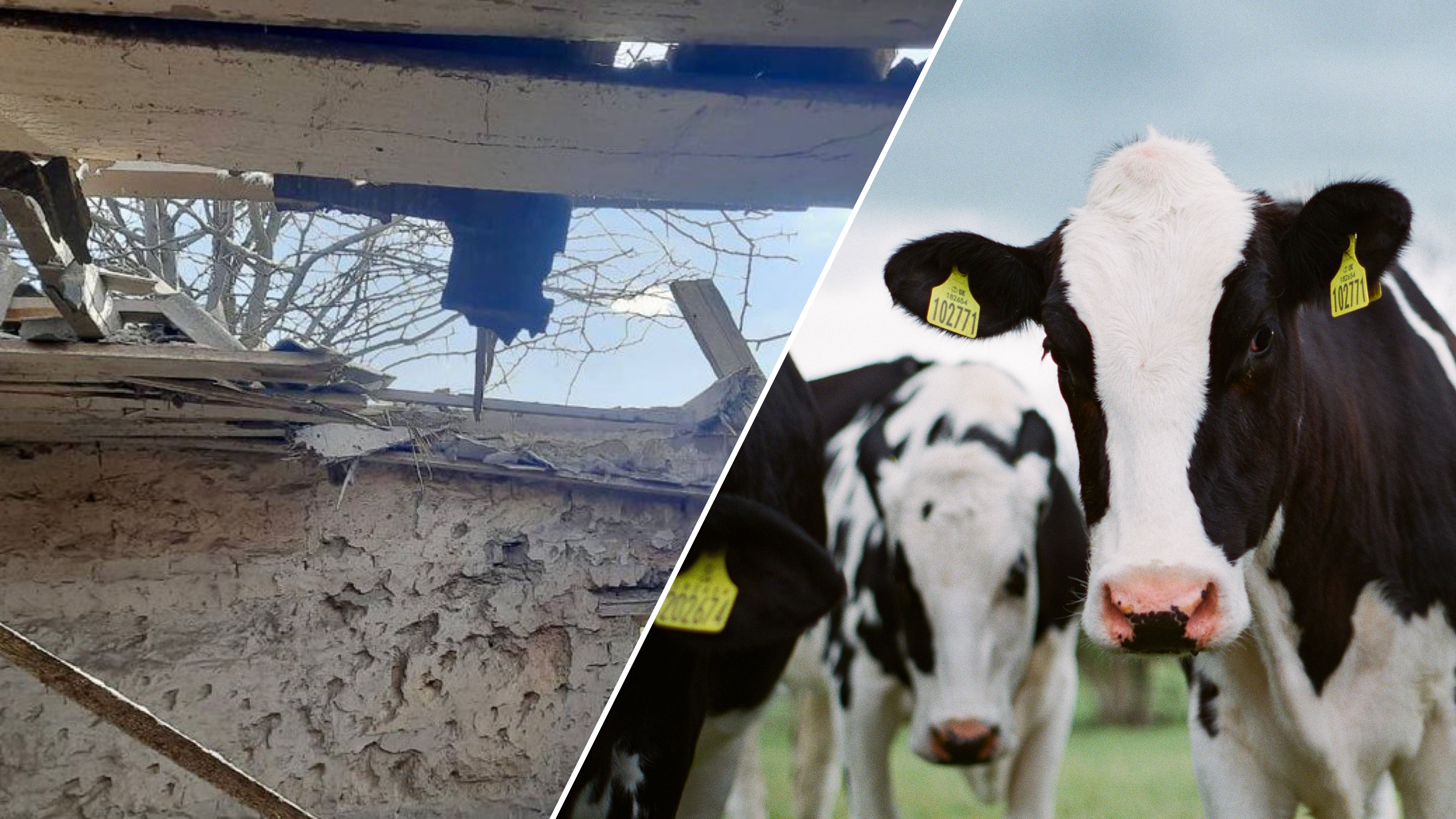 В Днепропетровской области под вражеский обстрел попала ферма В Днепропетровской области под вражеский обстрел попала ферма