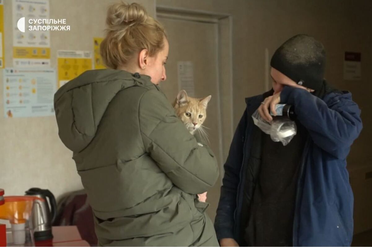 В Запорожье из-под завалов дома спасли кота