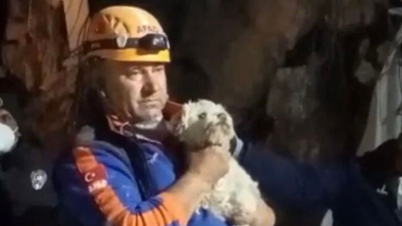 В Турции на 25 день после землетрясения из-под руин вытащили собаку