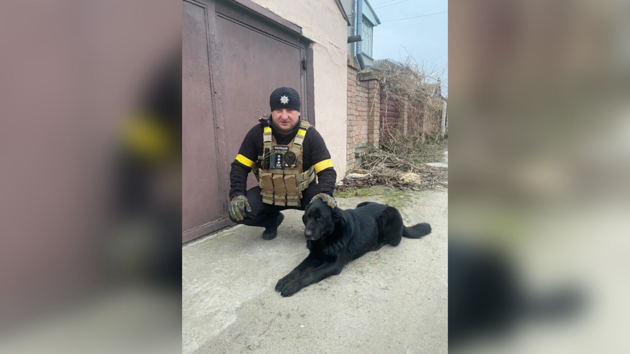 Полицейские спасли брошенную в Херсоне собаку