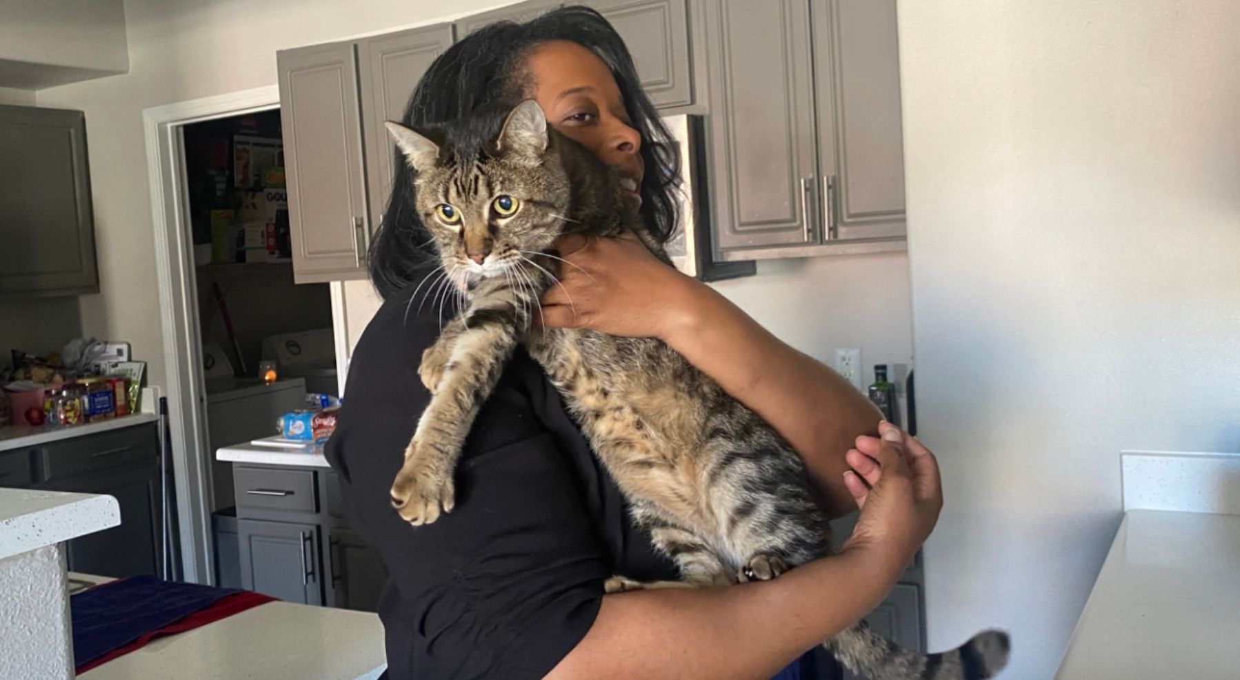 Загублений кіт у Лас-Вегасі Загублений кіт у Лас-Вегасі