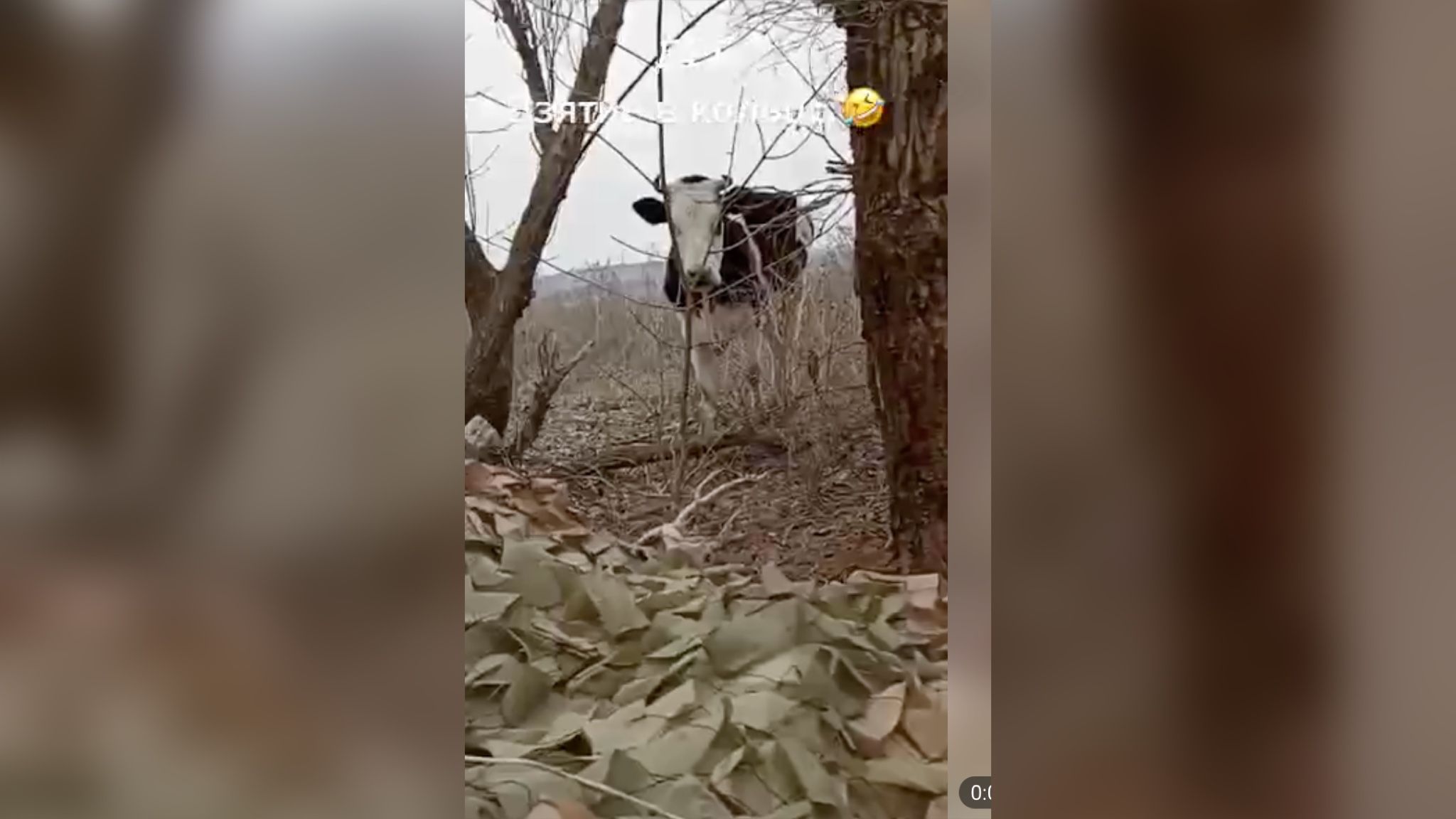 Бойцы ВСУ попали в необычное окружение Бойцы ВСУ попали в необычное окружение