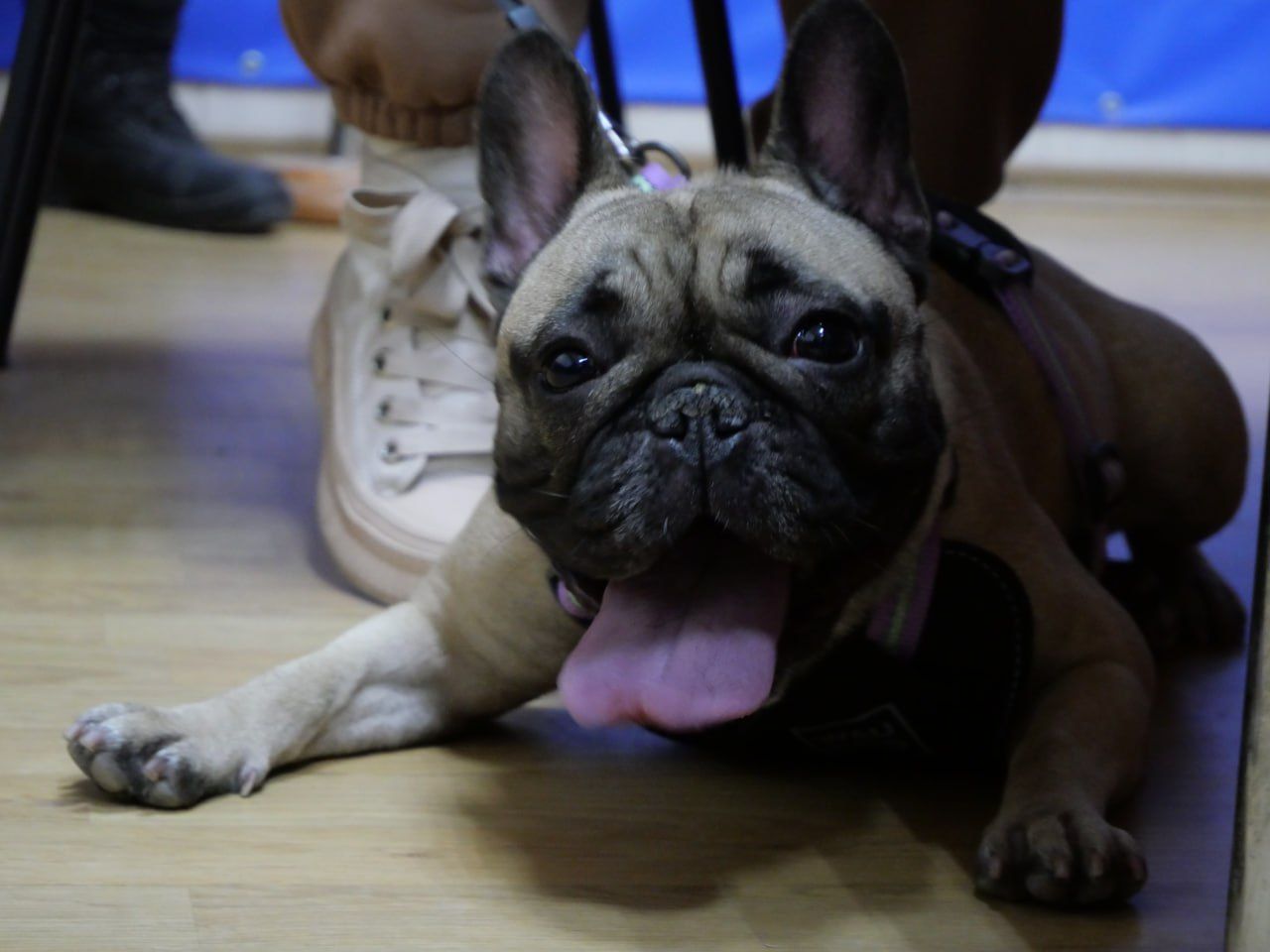 Мира посетила ГСЧС Мира посетила ГСЧС