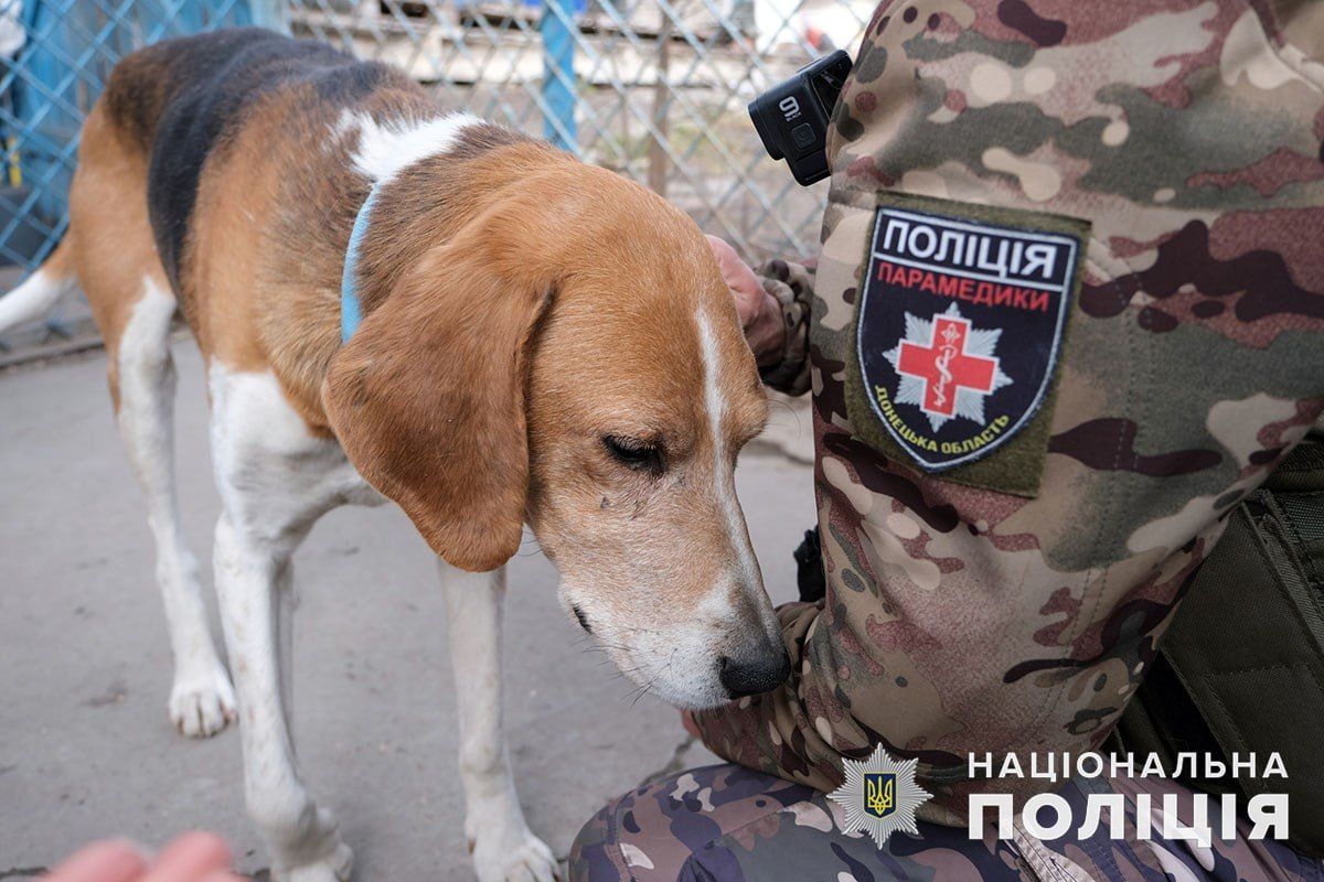 Поліцейські показали, як рятують собак на лінії фронту під Мар'їнкою