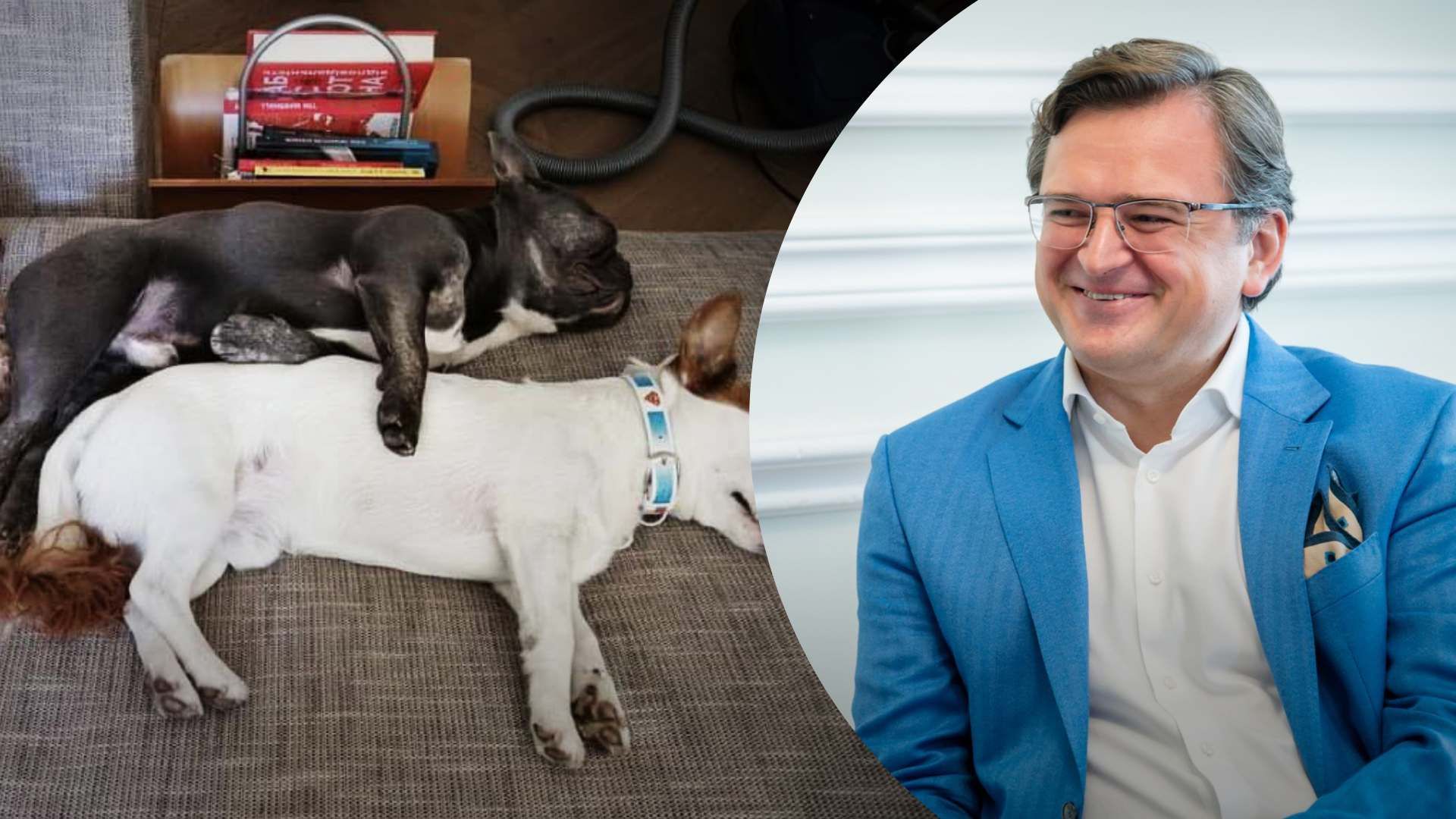 Песик Дмитрия Кулебы забежал в прямой эфир Песик Дмитрия Кулебы забежал в прямой эфир