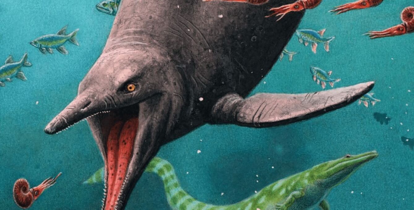 Іхтіозаври — це великі вимерлі морські рептилії