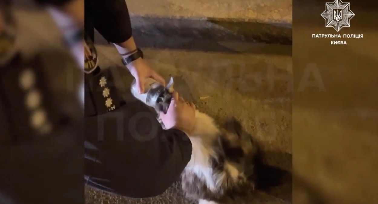 Киевские полицейские спасли котика