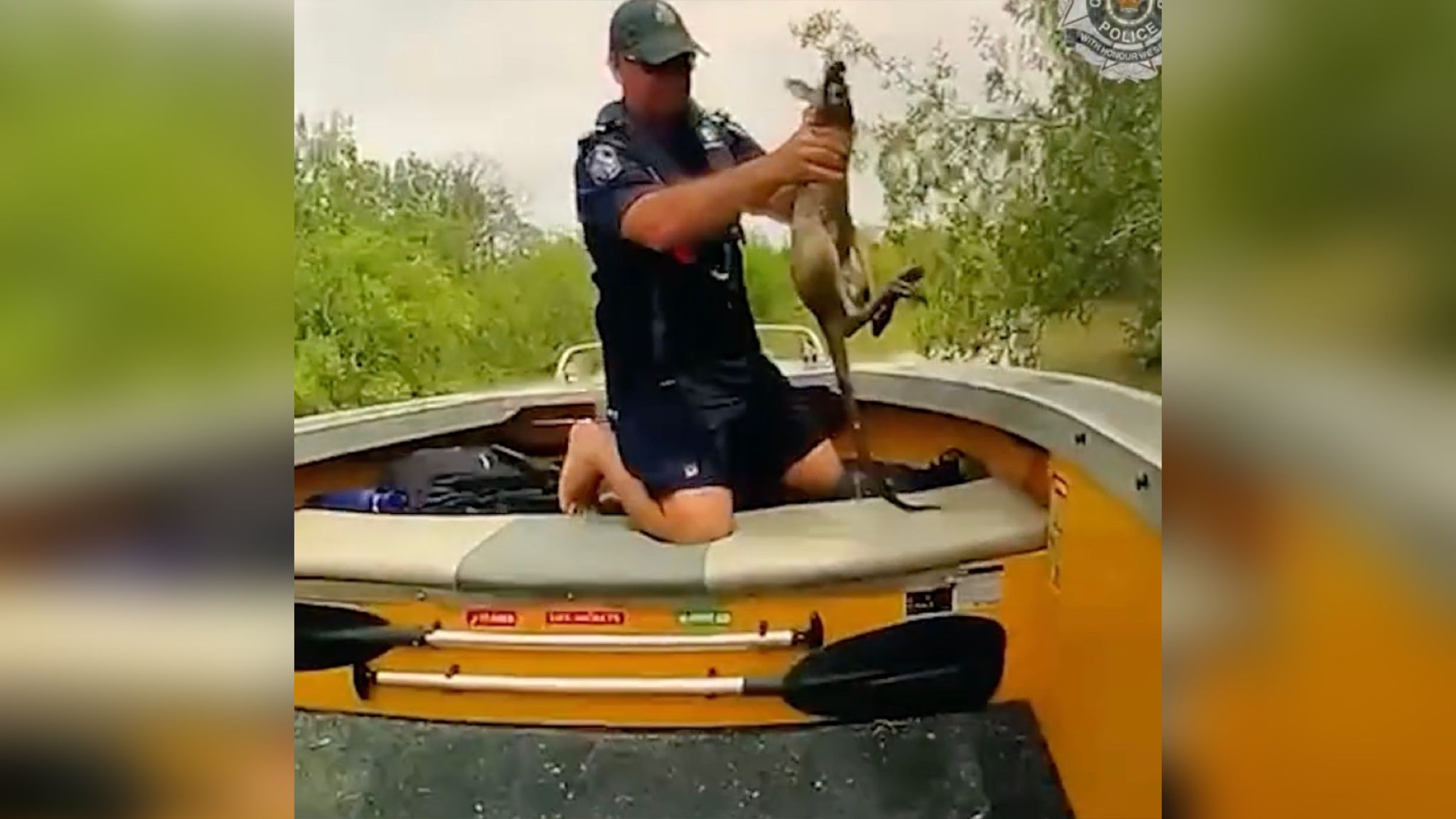 Поліцейські врятували маля кенгуру, яке вирішило поплавати у компанії крокодилів