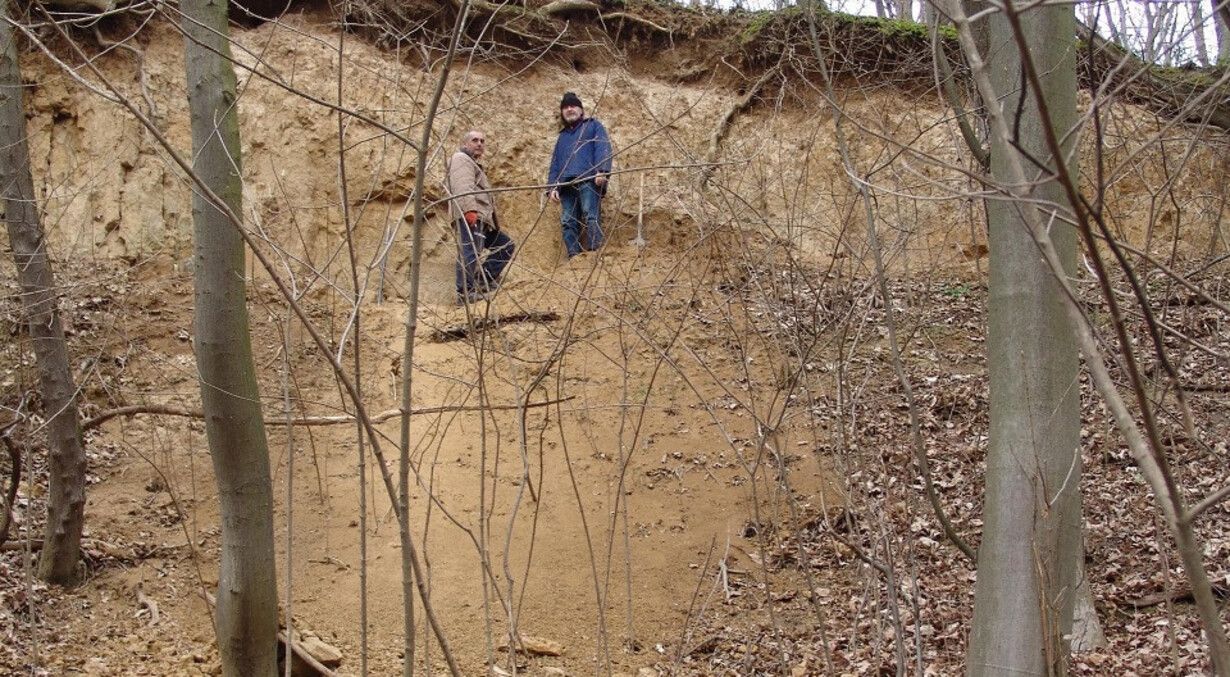 На Франковщине археологи обнаружили кость первобытного животного На Франковщине археологи обнаружили кость первобытного животного