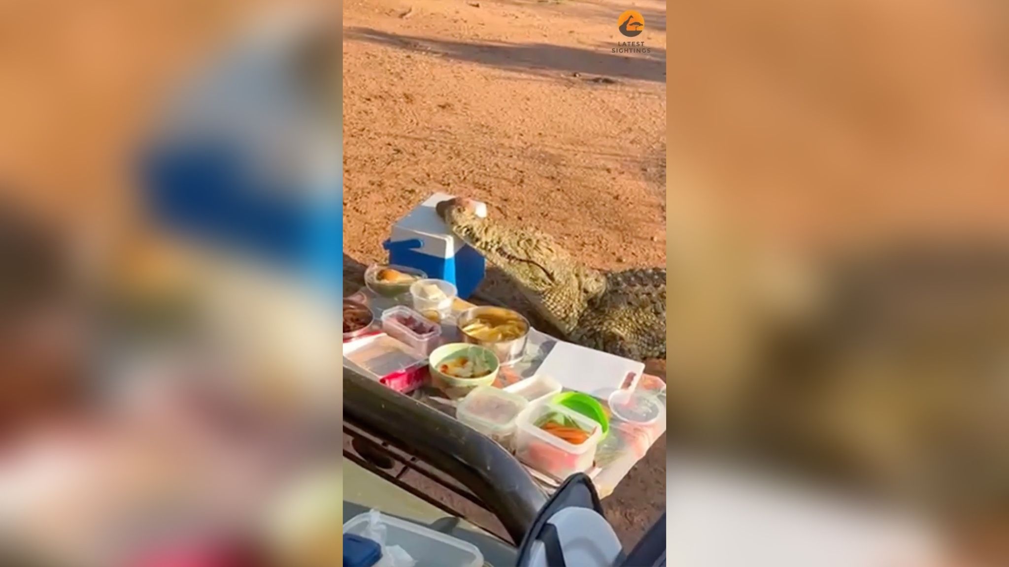 В Африке во время сафари крокодил украл холодильник у туристов